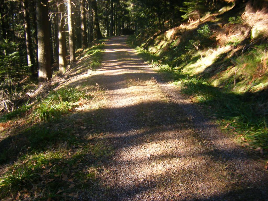 Hotel Schauinsland Bad Peterstal-Griesbach Buitenkant foto